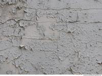 Photo Texture of Plaster 0013